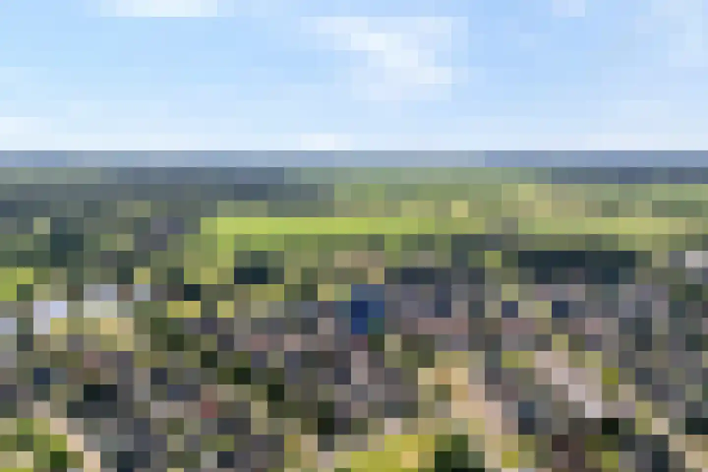 Reestland 7 Nieuwleusen thumbnail 7