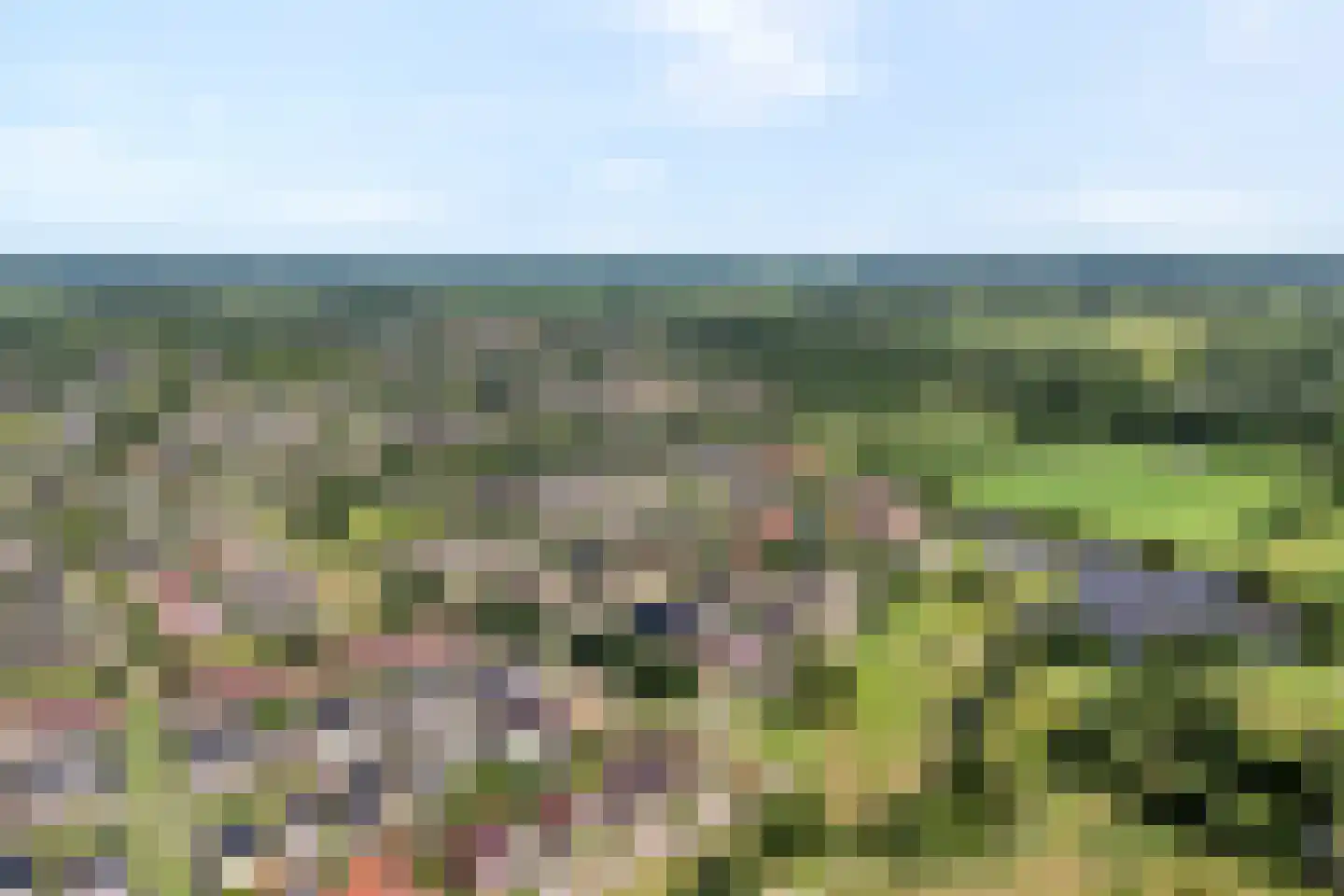 Reestland 7 Nieuwleusen thumbnail 8