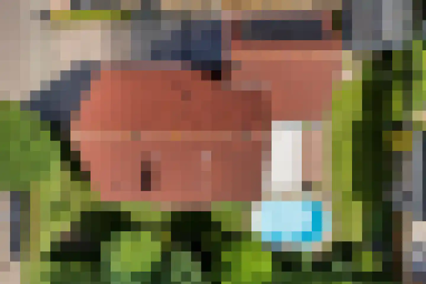 Reestland 7 Nieuwleusen thumbnail 9