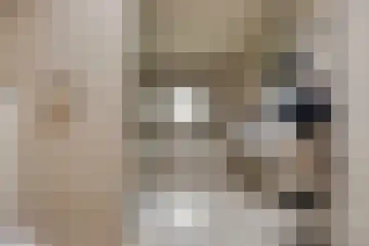 Reestplantsoen 23 Meppel thumbnail 20