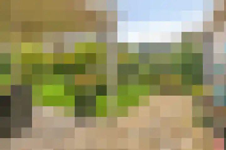Reestplantsoen 23 Meppel thumbnail 33