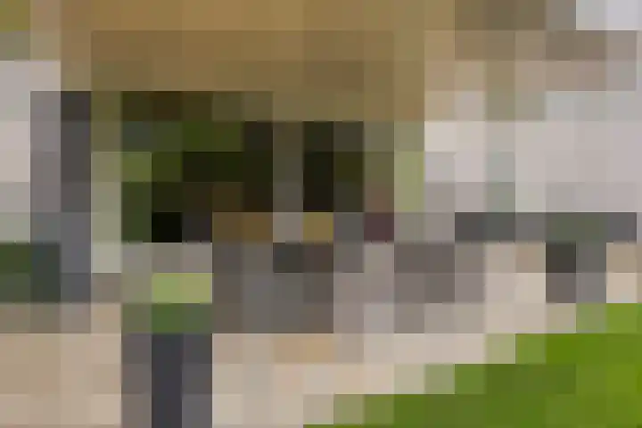 Reestplantsoen 23 Meppel thumbnail 34