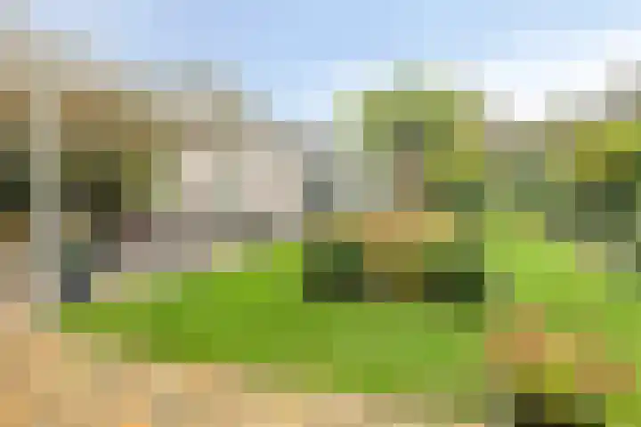 Reestplantsoen 23 Meppel thumbnail 35