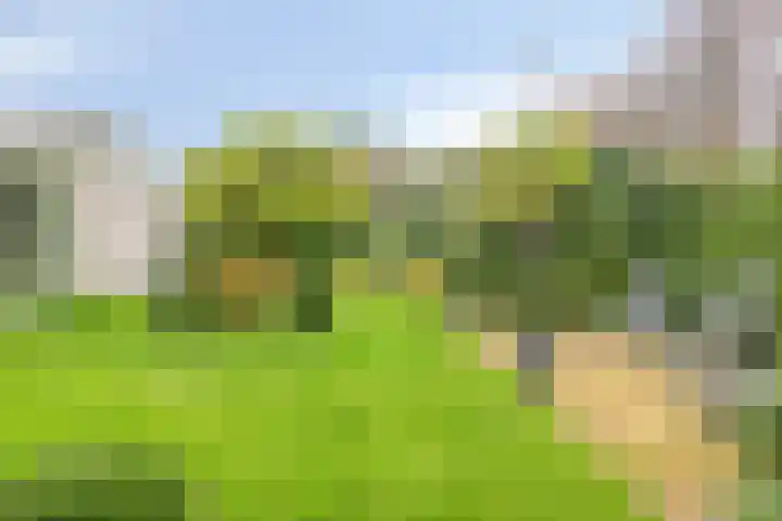 Reestplantsoen 23 Meppel thumbnail 37