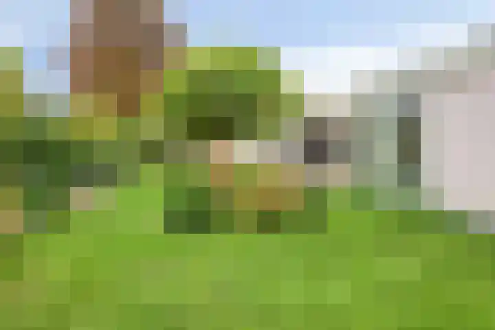Reestplantsoen 23 Meppel thumbnail 38