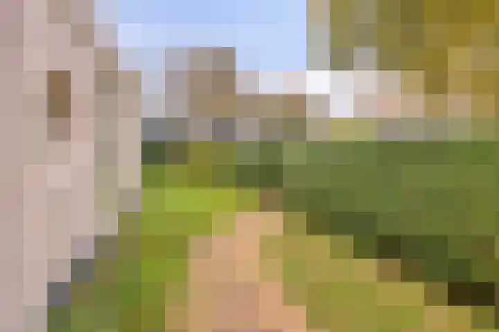 Reestplantsoen 23 Meppel thumbnail 44