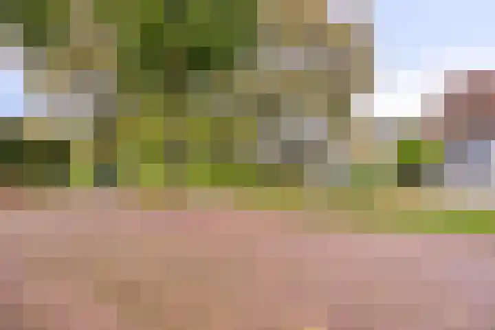 Reestplantsoen 23 Meppel thumbnail 47