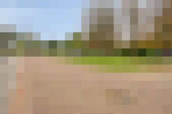Reestplantsoen 23 Meppel thumbnail 49