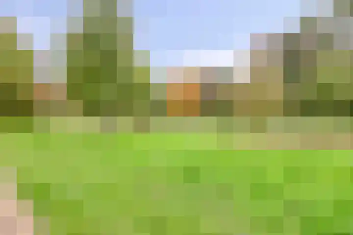 Reestplantsoen 23 Meppel thumbnail 50