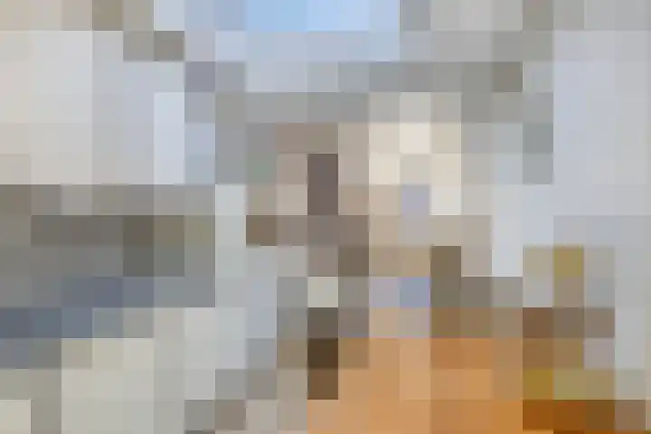 Reestraat 10 Heerlen thumbnail 10