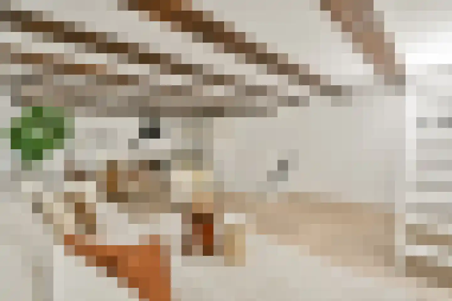 Reestraat 11 1A Amsterdam thumbnail 12