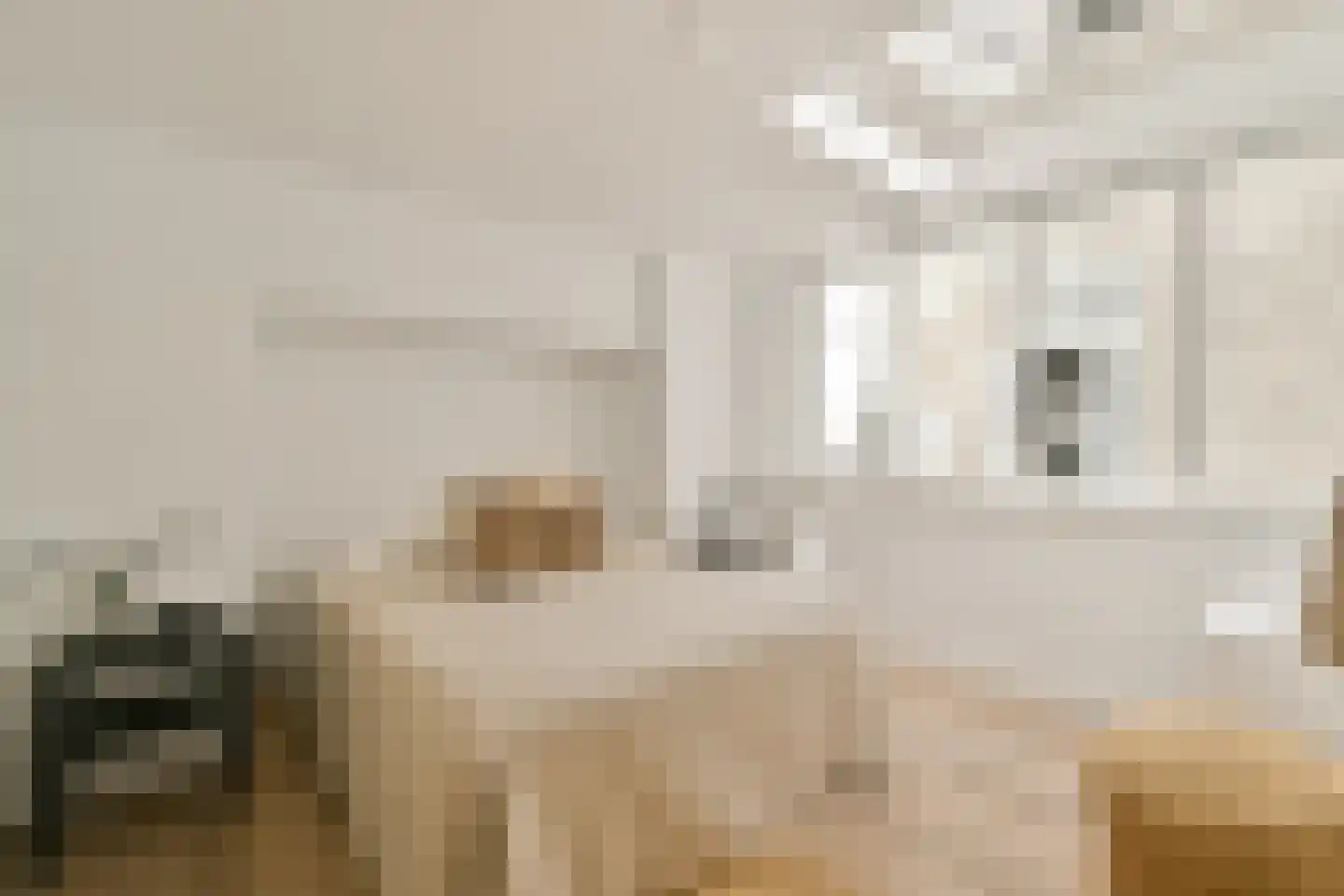Reestraat 11 1A Amsterdam thumbnail 14
