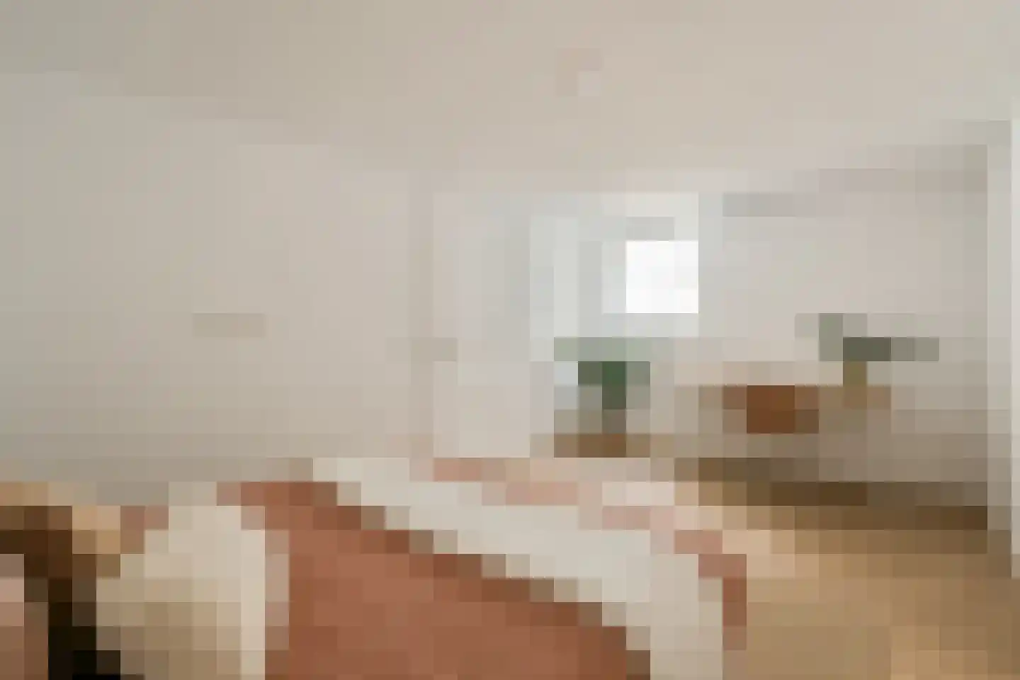 Reestraat 11 1A Amsterdam thumbnail 18