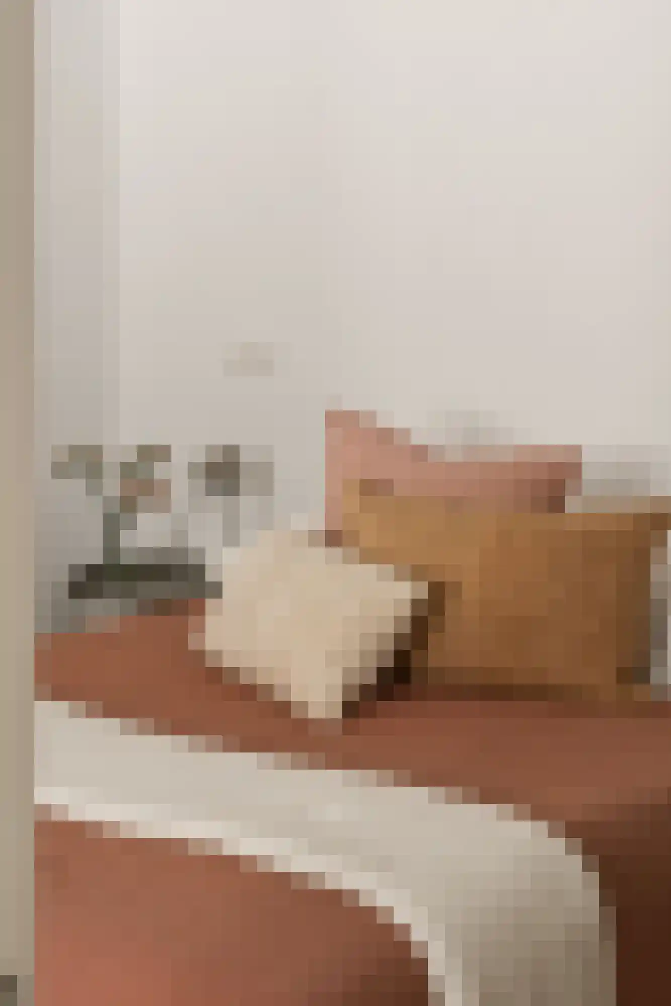 Reestraat 11 1A Amsterdam thumbnail 20