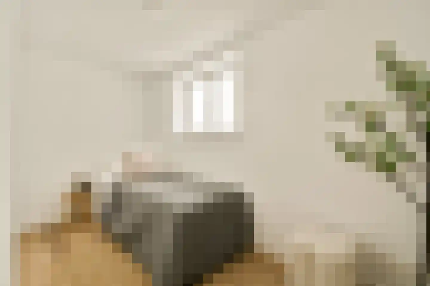 Reestraat 11 1A Amsterdam thumbnail 24