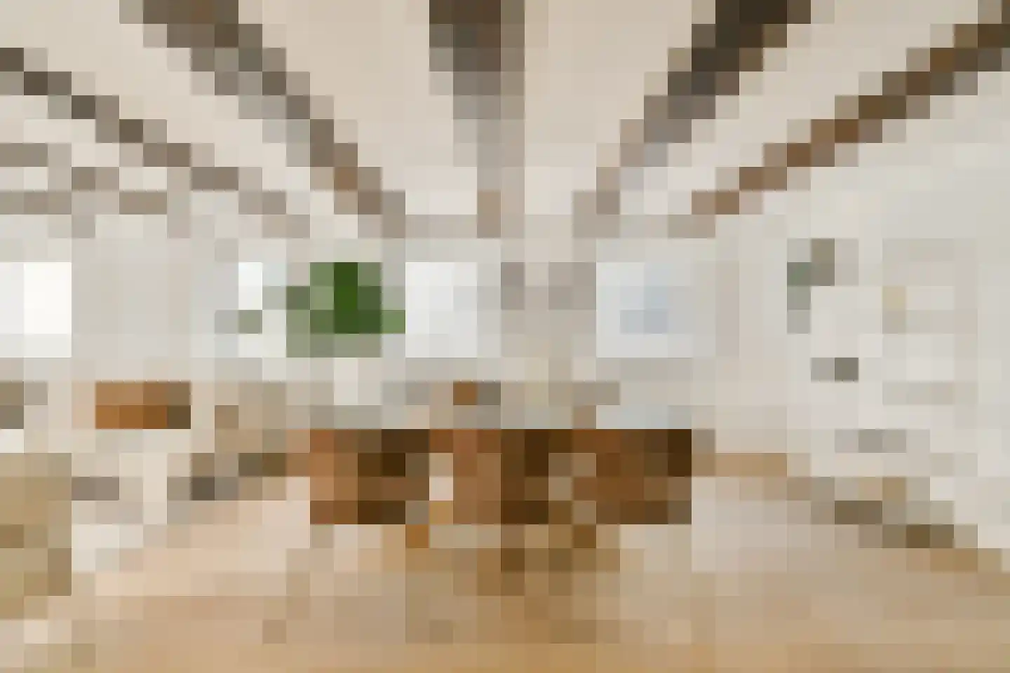 Reestraat 11 1A Amsterdam thumbnail 6