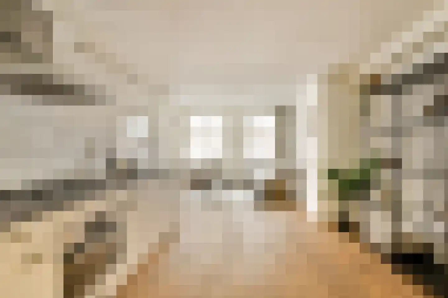 Reestraat 11 2 Amsterdam thumbnail 11