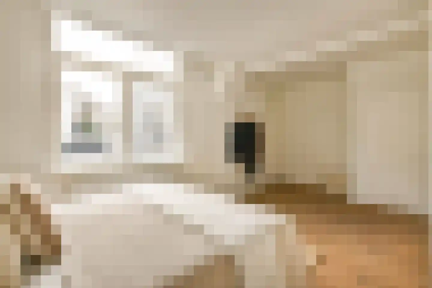 Reestraat 11 2 Amsterdam thumbnail 14