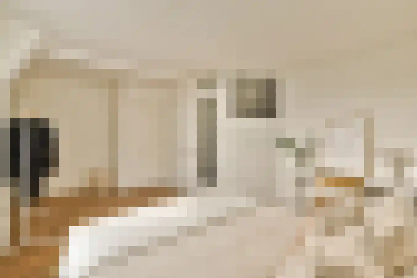 Reestraat 11 2 Amsterdam thumbnail 15