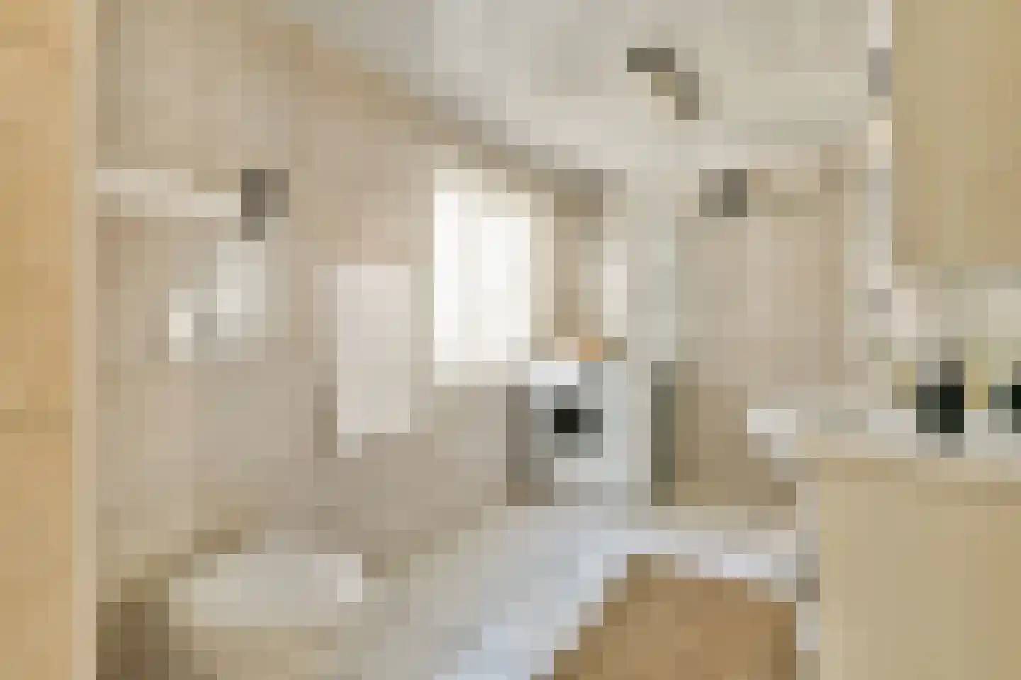Reestraat 11 2 Amsterdam thumbnail 16