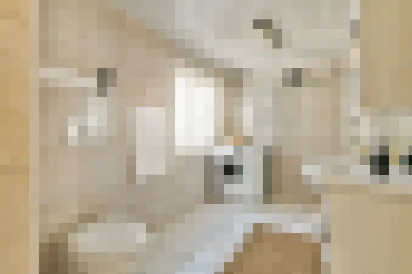 Reestraat 11 2 Amsterdam thumbnail 16