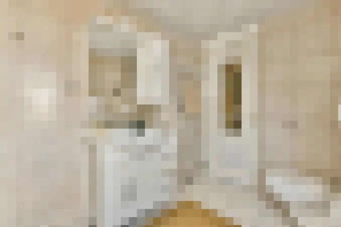 Reestraat 11 2 Amsterdam thumbnail 17