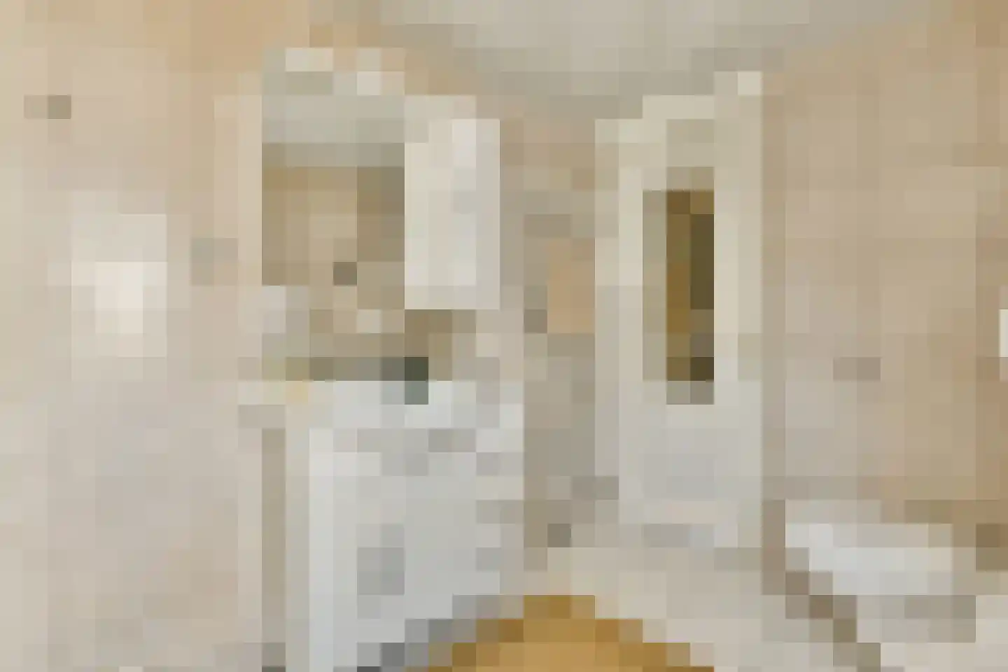 Reestraat 11 2 Amsterdam thumbnail 17