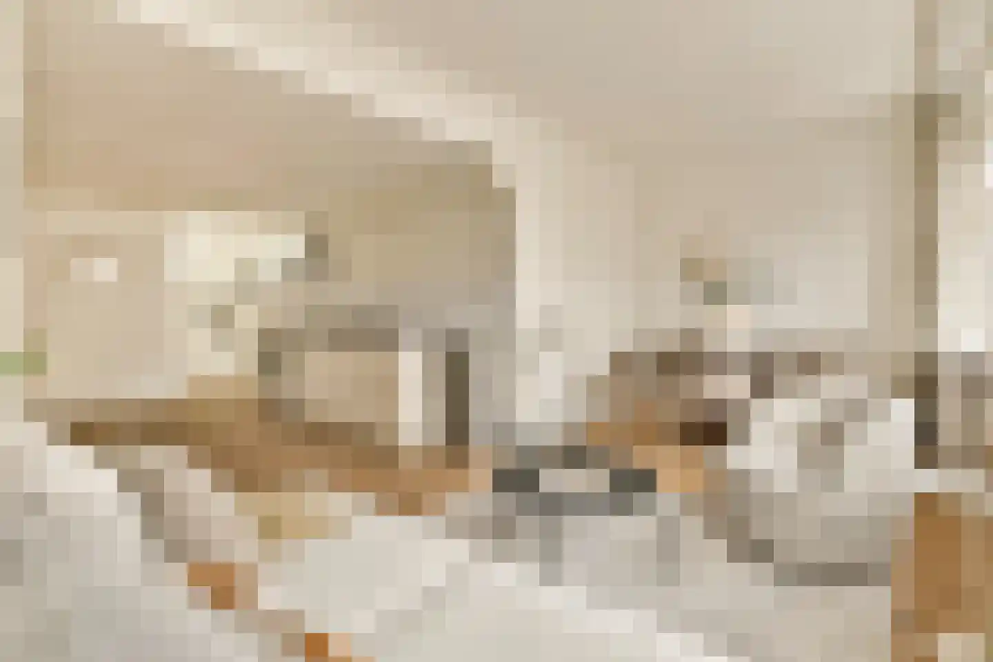 Reestraat 11 2 Amsterdam thumbnail 4