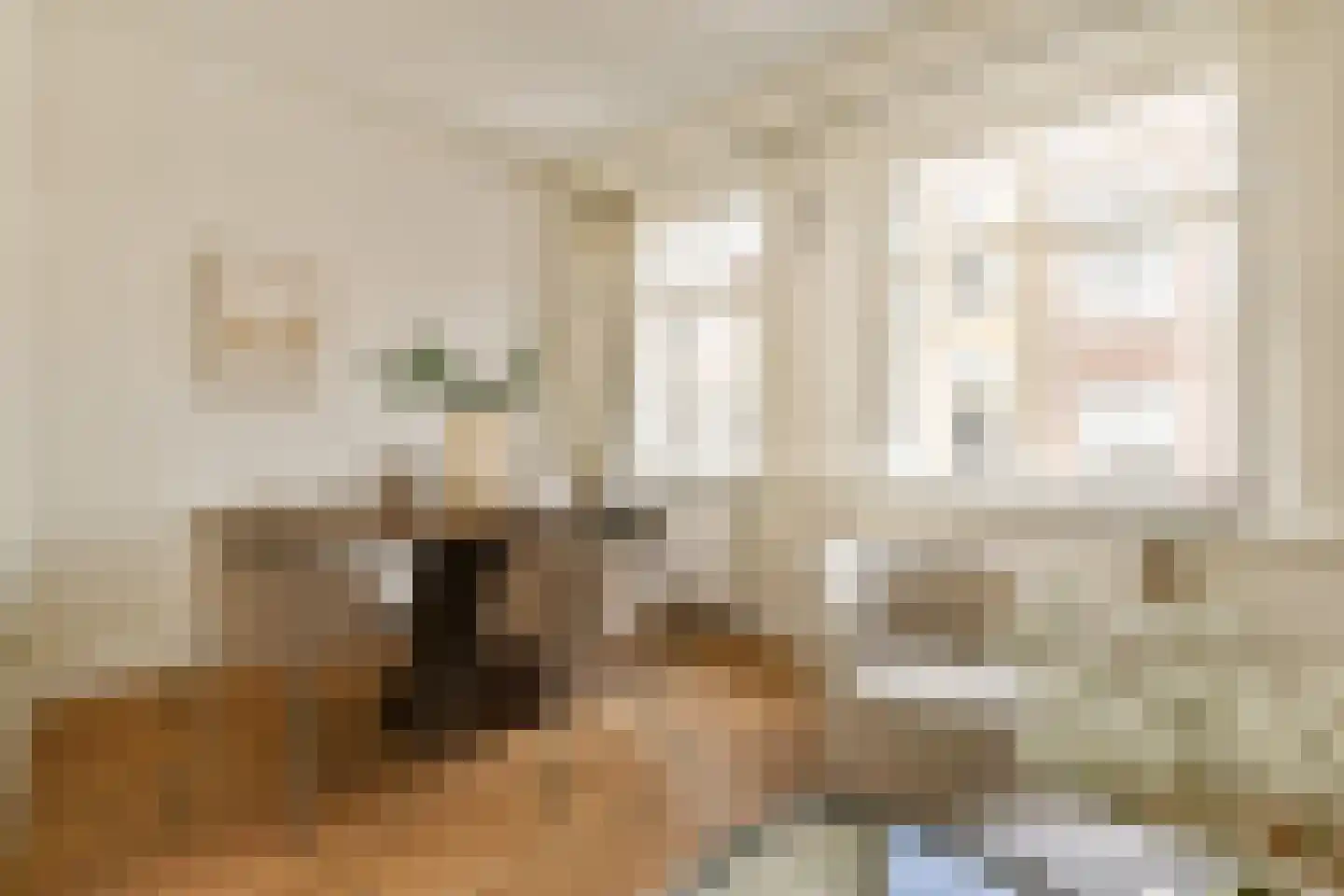Reestraat 11 2 Amsterdam thumbnail 5