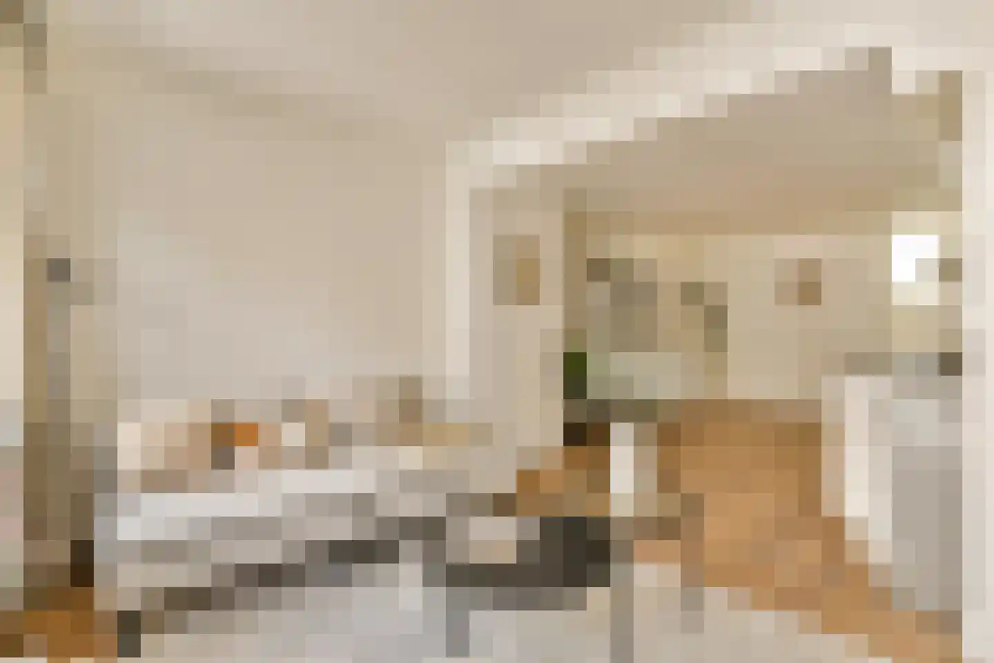 Reestraat 11 2 Amsterdam thumbnail 7