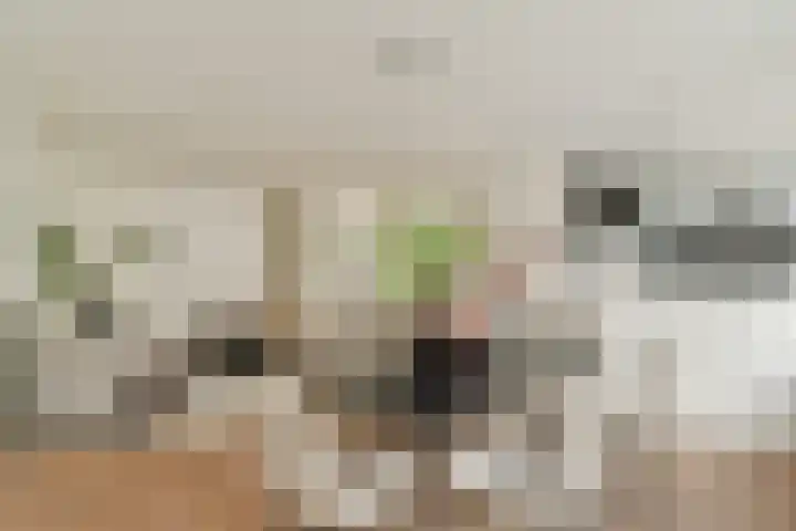 Reestraat 11 H Amsterdam thumbnail 6