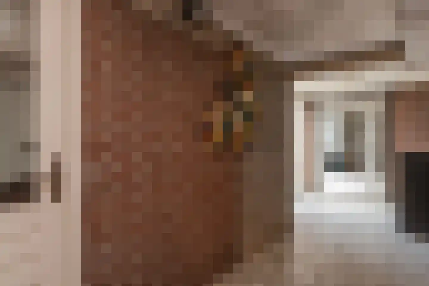 Reestraat 17 Volkel thumbnail 23