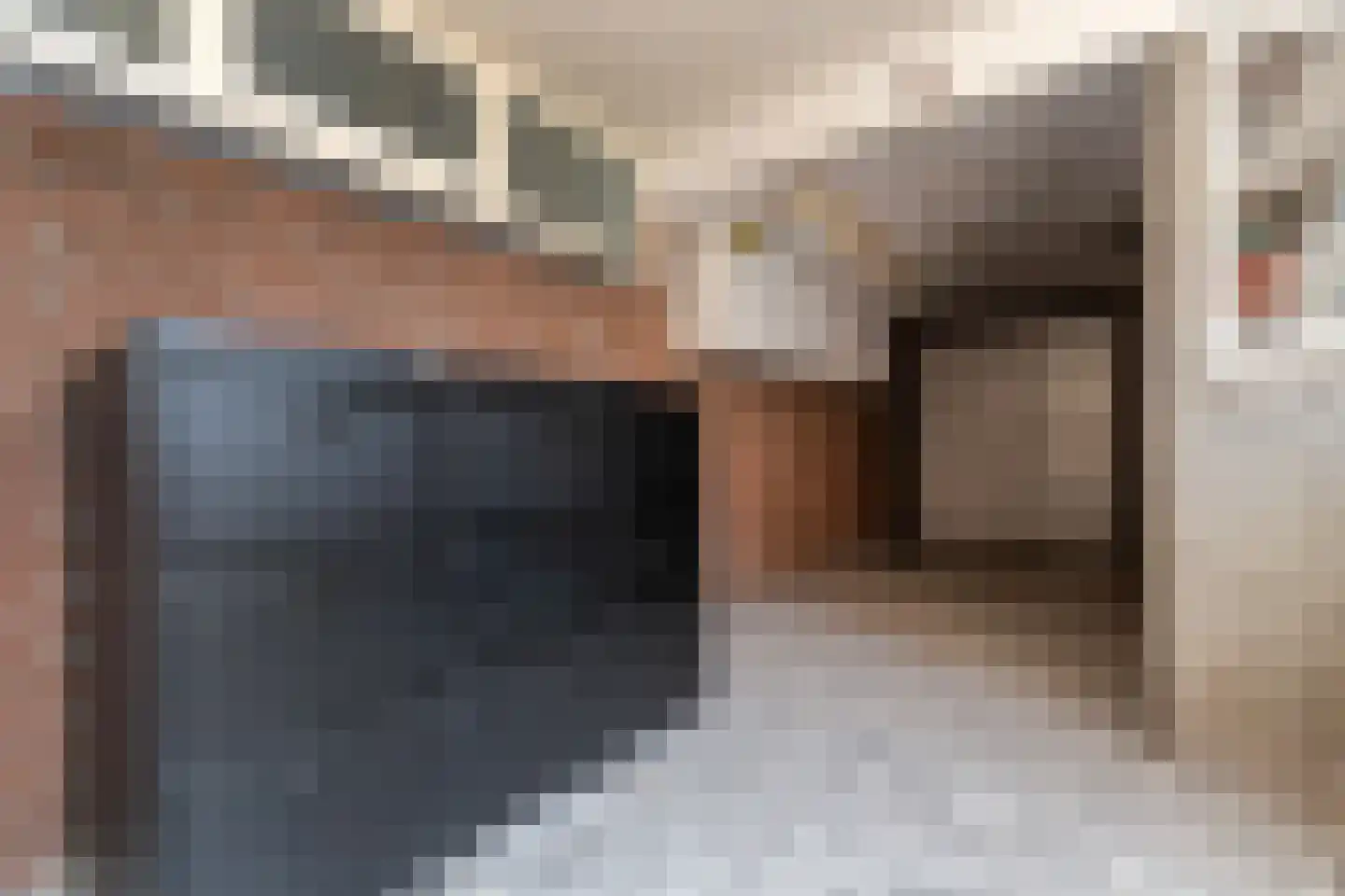 Reestraat 17 Volkel thumbnail 29