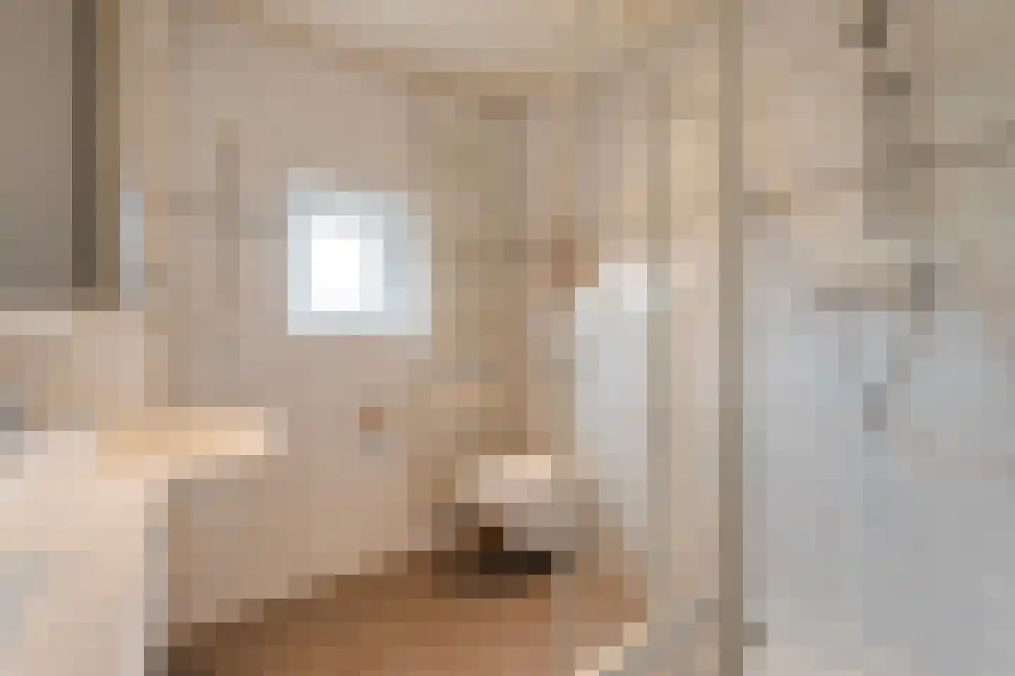 Reestraat 17 Volkel thumbnail 5