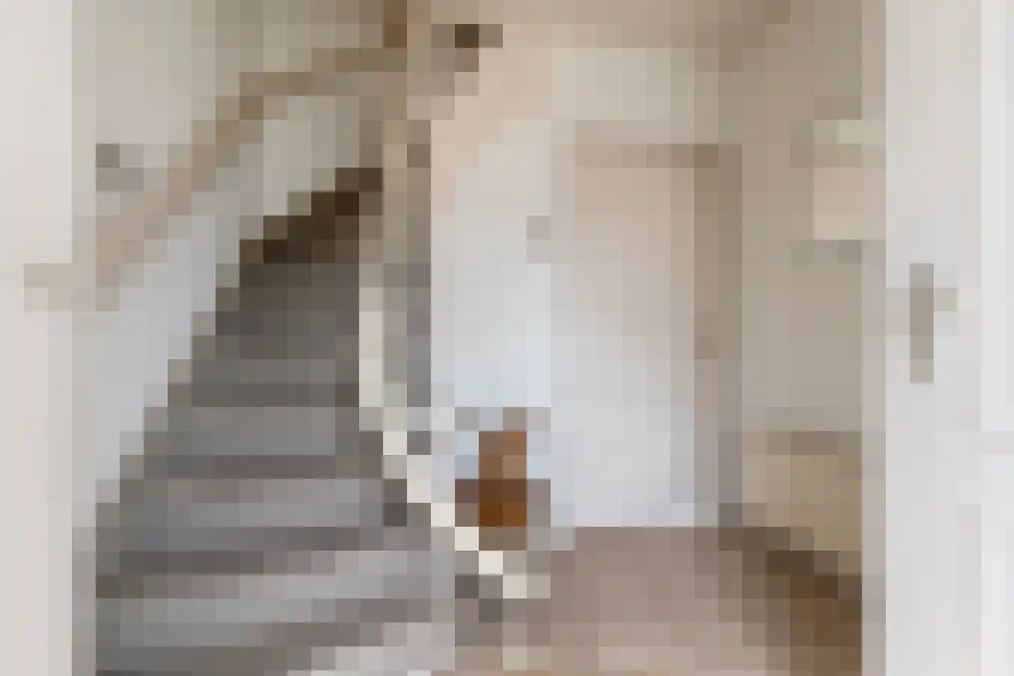 Reestraat 17 Volkel thumbnail 7