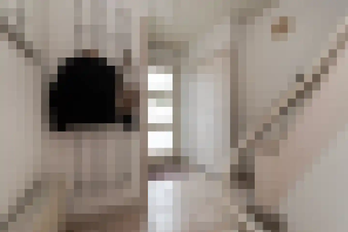Reestraat 17 Volkel thumbnail 8
