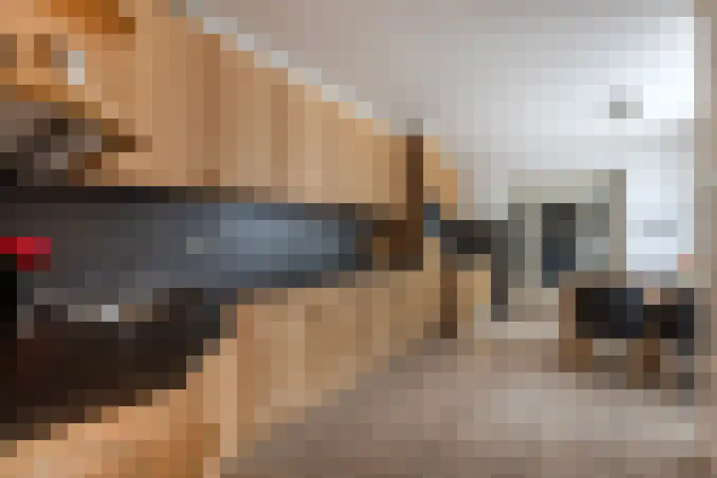 Reestraat 17 Volkel thumbnail 9