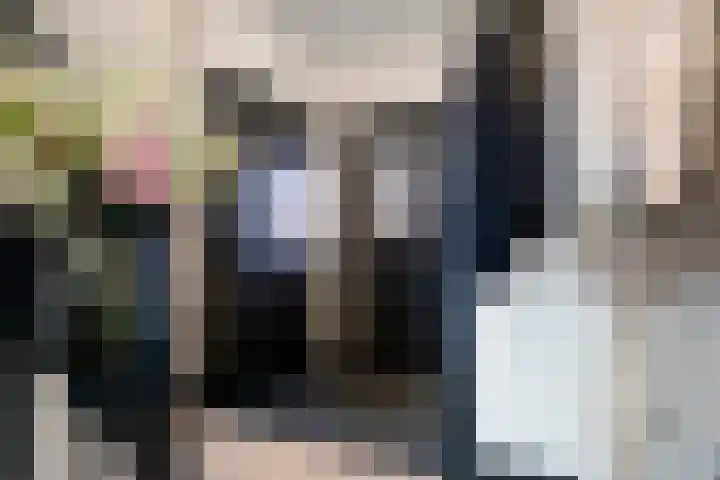 Reestraat 19 Volkel thumbnail 16