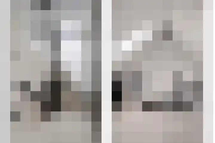 Reestraat 19 Volkel thumbnail 25