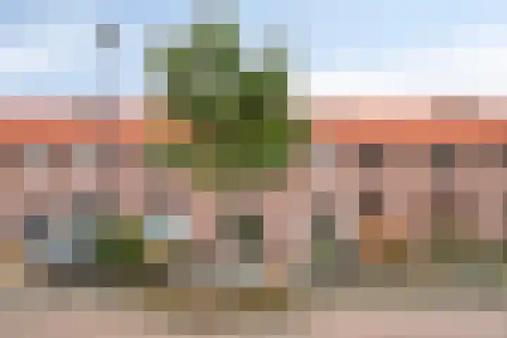 Reestraat 19 Volkel thumbnail 33