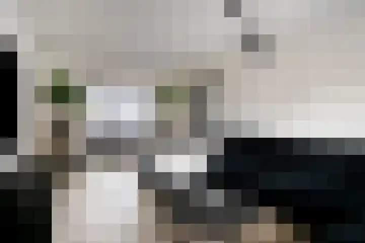 Reestraat 19 Volkel thumbnail 4