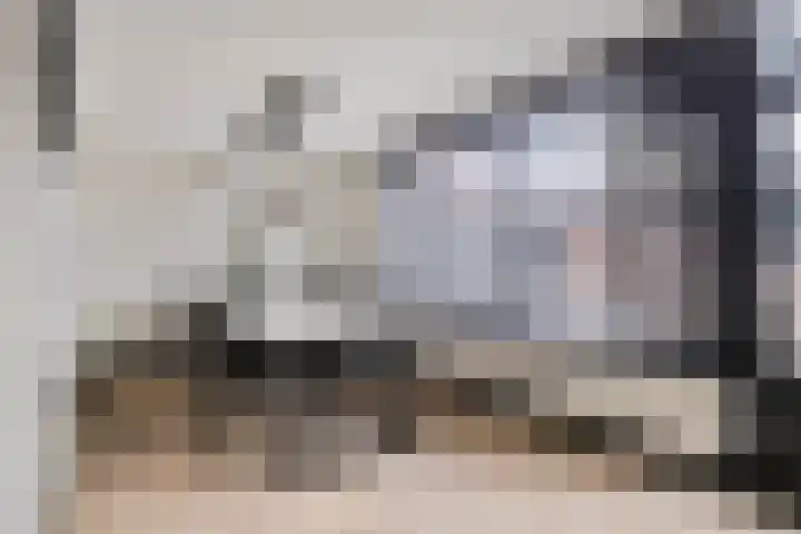 Reestraat 19 Volkel thumbnail 6