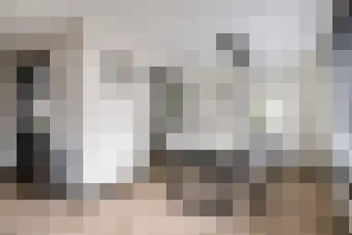 Reestraat 19 Volkel thumbnail 7