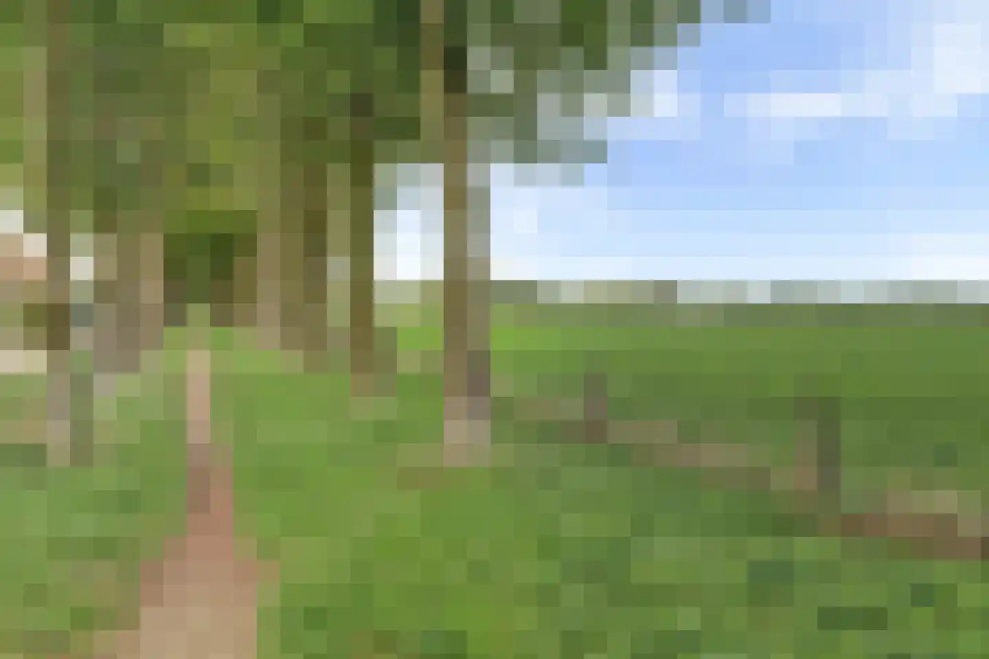 Reestraat 2 Arnhem thumbnail 19