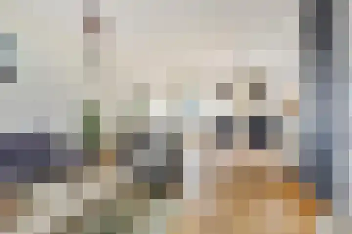 Reestraat 21 Herkenbosch thumbnail 10