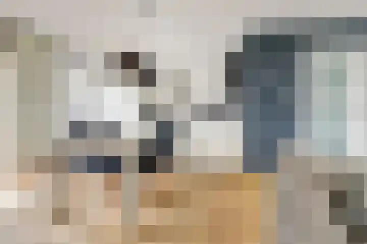 Reestraat 21 Herkenbosch thumbnail 12