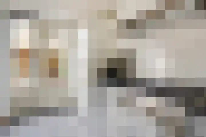 Reestraat 21 Herkenbosch thumbnail 15