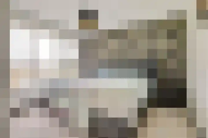 Reestraat 21 Herkenbosch thumbnail 17