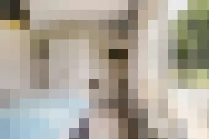 Reestraat 21 Herkenbosch thumbnail 19