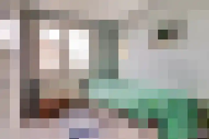 Reestraat 21 Herkenbosch thumbnail 21